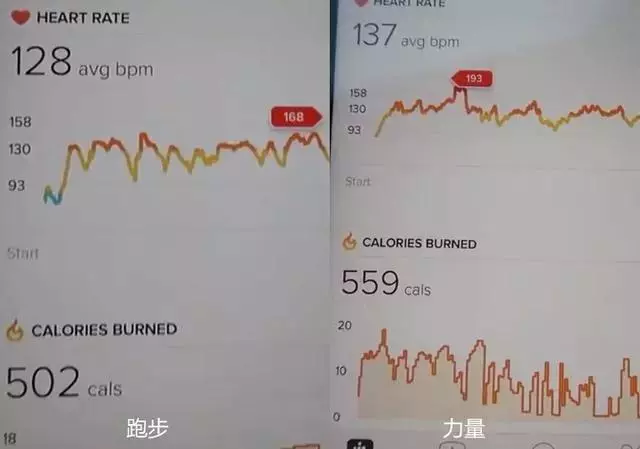 健身房舉鐵VS 40分鐘有氧運動,兩者減脂差距有多