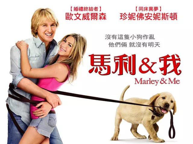 狗迷最需要的網站!幫劇透「有沒有動物領便當」 避免看到不好的結局