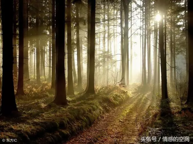 老婆跟我回老家,看到晚上做的一桌菜,老婆很生氣