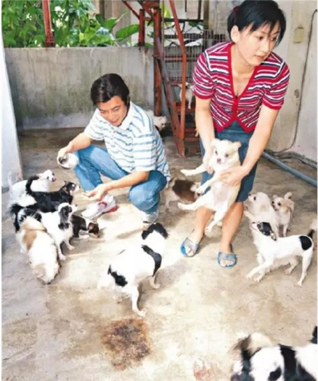 淡出影壇14年,「婉君大少爺」張佩華近照曝光,只有一物相伴,滿頭白髮認不出,網友卻說:很幸福!