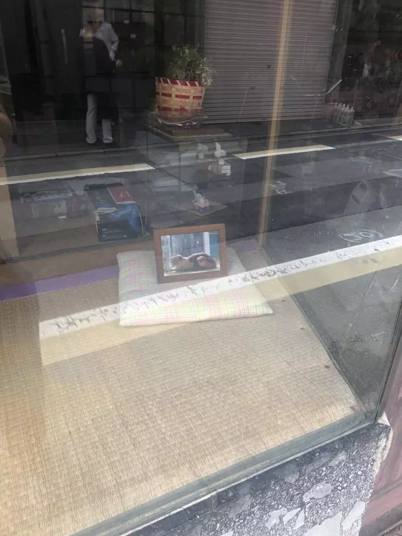 「牠曾躺這裡,被愛過…」 主人坐墊上放「天國貓咪照」網泛淚:牠從沒被忘記