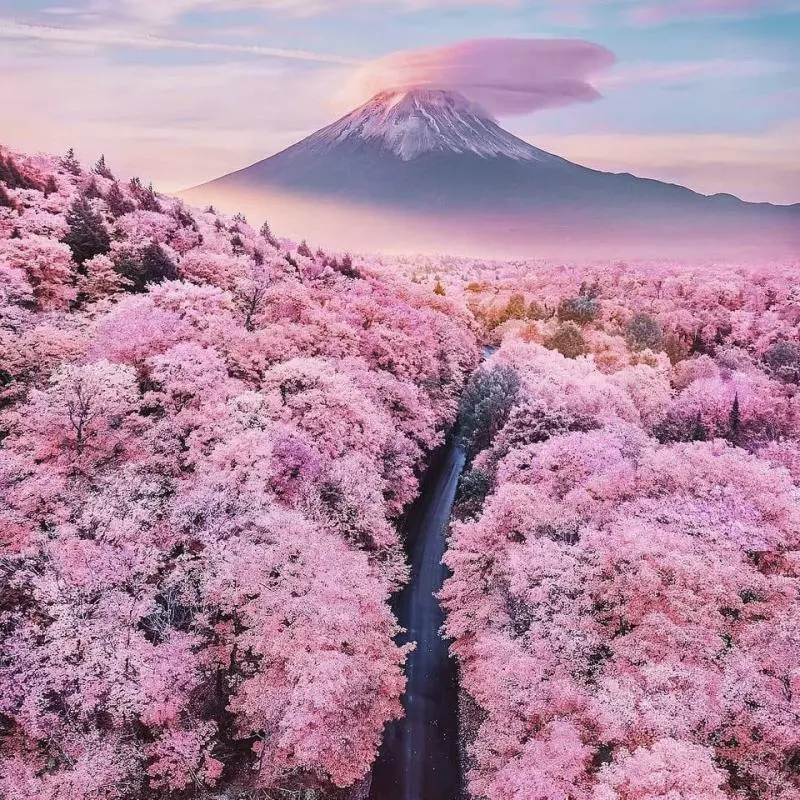 快出來看PS神人!國際「修圖大賽」笑到臉痠 連風景照都能玩很嗨