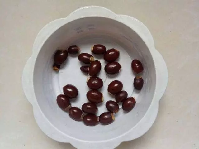 夏天吃水果,「留個籽」撒盆里,10天發芽變盆栽,養好摘果1籃子