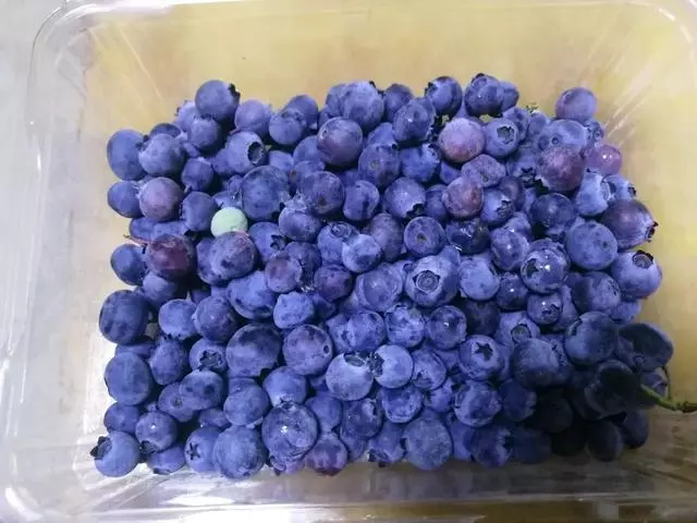 夏天吃水果,「留個籽」撒盆里,10天發芽變盆栽,養好摘果1籃子