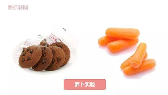 如何使用意志力,科學調整減肥方案,養出易瘦體質