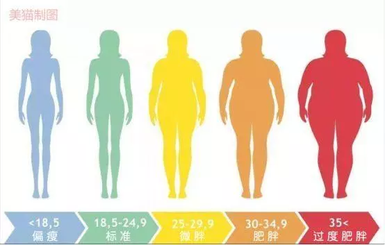 如何使用意志力,科學調整減肥方案,養出易瘦體質