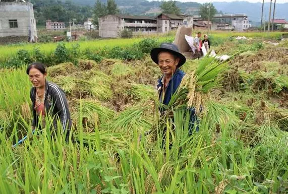 兒媳待產我沒去照顧,她坐月子兒子倒掉補湯,還說趕我回老家