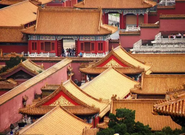 故宮600年來屋頂沒鳥糞?專家們研究後:佩服古人的智慧