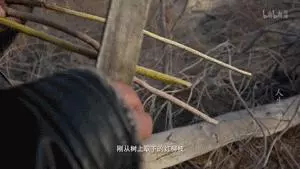 才發現吃了十多年的烤串都白吃了!走,帶你見識真正的新疆烤串