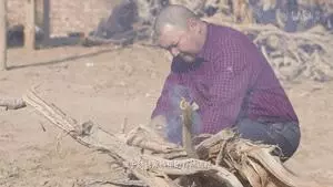 才發現吃了十多年的烤串都白吃了!走,帶你見識真正的新疆烤串