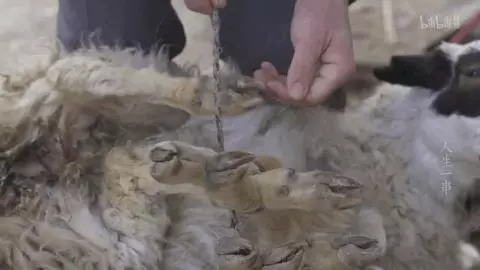 才發現吃了十多年的烤串都白吃了!走,帶你見識真正的新疆烤串