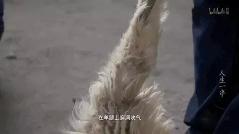 才發現吃了十多年的烤串都白吃了!走,帶你見識真正的新疆烤串