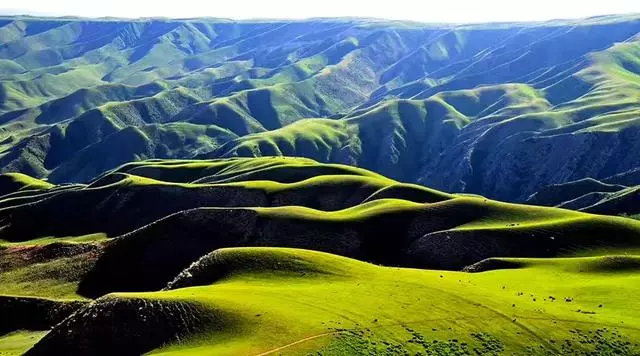 才發現吃了十多年的烤串都白吃了!走,帶你見識真正的新疆烤串