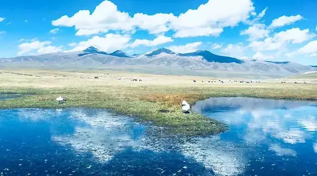 才發現吃了十多年的烤串都白吃了!走,帶你見識真正的新疆烤串