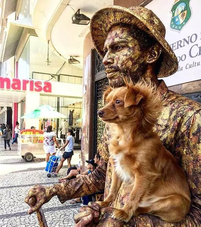 萌犬學主人「扮銅像」賺罐罐錢 超有戲「石化模樣」引路人圍觀