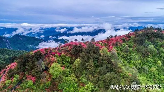 人生哲思:人生如碗(深度好文)