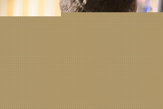 小舅子結婚沒通知我,婚禮當天我不請自到,看到新娘我愣在了原地