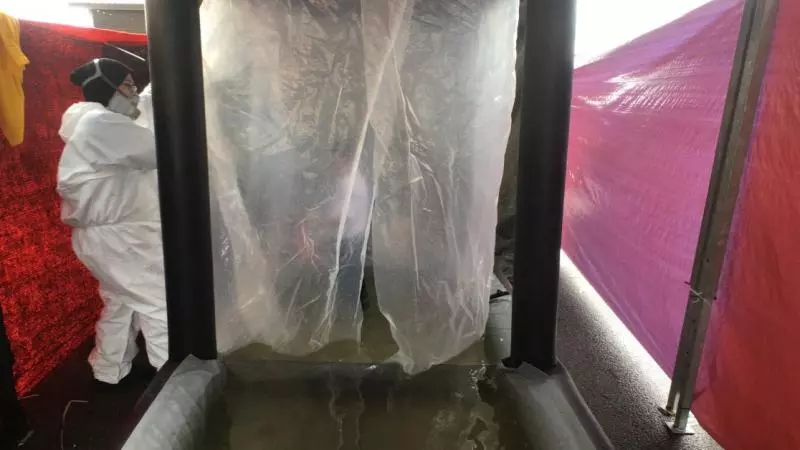 ◤巴西古當毒氣再現◢ 事態嚴重! 巴西古當再有學生 嘔吐昏眩 | 中國報 China Press