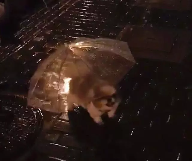 爺爺帶18歲老狗雨夜遛彎,自製狗雨傘給汪遮雨,超暖心