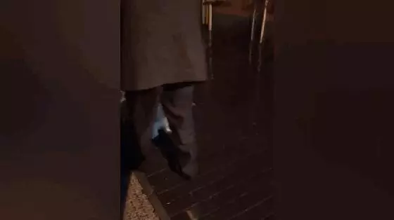 爺爺帶18歲老狗雨夜遛彎,自製狗雨傘給汪遮雨,超暖心