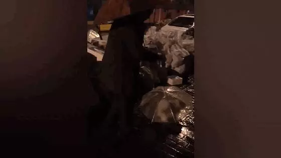 爺爺帶18歲老狗雨夜遛彎,自製狗雨傘給汪遮雨,超暖心