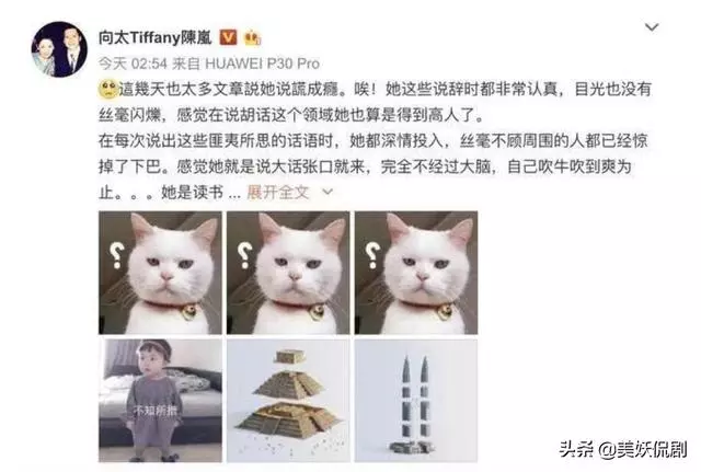終於有人替張柏芝打抱不平 曝張柏芝被欺負往事 張柏芝心酸落淚