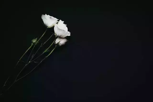 賈靜雯談離婚9年:有的人堵住了過去,有的人堵住了未來