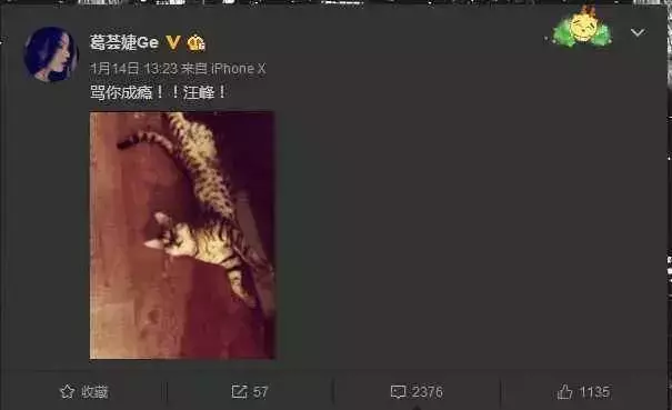 賈靜雯談離婚9年:有的人堵住了過去,有的人堵住了未來