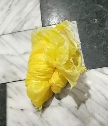 狗狗堵住樓梯不走,一系列心虛舉動,主人一秒識破:肯定做壞事了
