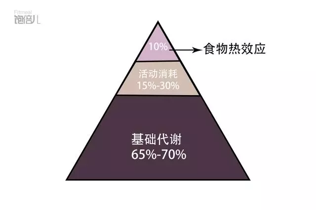 靠吃就能瘦的科學懶人減肥法——基礎代謝減肥法