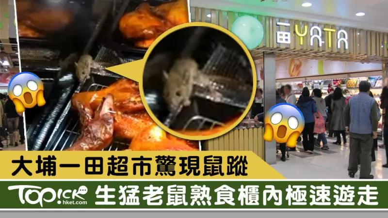 大埔一田超市熟食櫃內驚現生猛老鼠 一田百貨:已即時清理所有食物