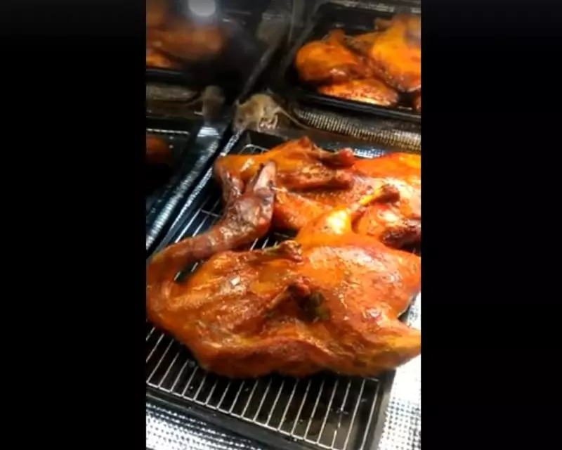 大埔一田超市熟食櫃內驚現生猛老鼠 一田百貨:已即時清理所有食物