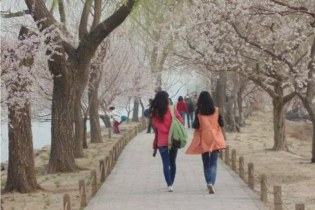 女子生下女兒,被生了兒子的妯娌嘲笑,多年後老家再遇,兩人傻了