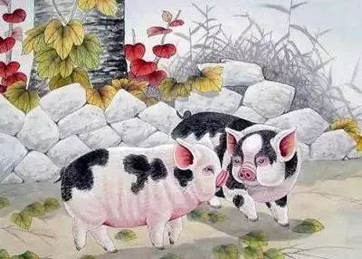 身邊有屬「豬」的人注意了,端午節起有望翻身,2019年好運不斷,請為屬豬的人祈福 !