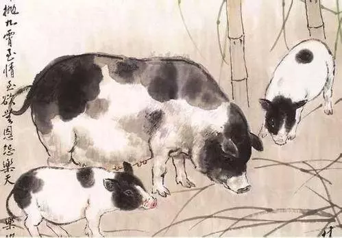 身邊有屬「豬」的人注意了,端午節起有望翻身,2019年好運不斷,請為屬豬的人祈福 !