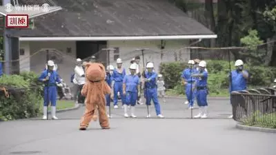 真工讀生!動物園「超ㄎㄧㄤ演習」 布偶獅子下一秒被抬走超好笑