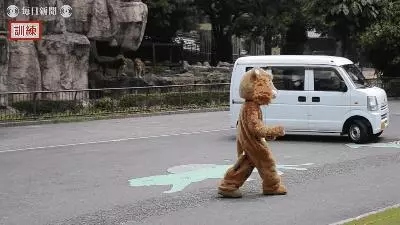 真工讀生!動物園「超ㄎㄧㄤ演習」 布偶獅子下一秒被抬走超好笑