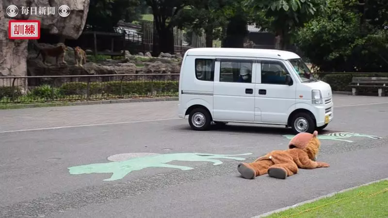 真工讀生!動物園「超ㄎㄧㄤ演習」 布偶獅子下一秒被抬走超好笑