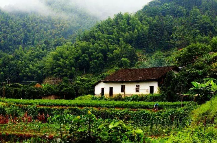 妻子掉進山洞不知所蹤,丈夫每天往洞裡扔饅頭,5年後山洞裡爬出一人!