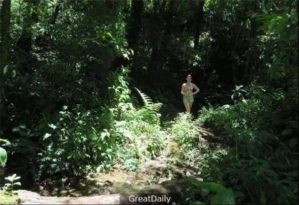 2名女子相約爬山,卻被路人發現只剩骨骸! 後來他在地上撿到一臺相機,竟發現裡面有嚇人的照片...