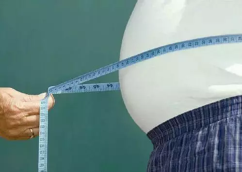 運動排毒減肥,燃脂健身靠它