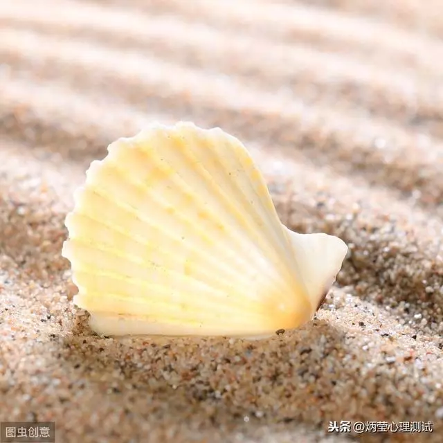 心理測試:你會撿起哪個貝殼?測歲月令你變成什麼樣的人