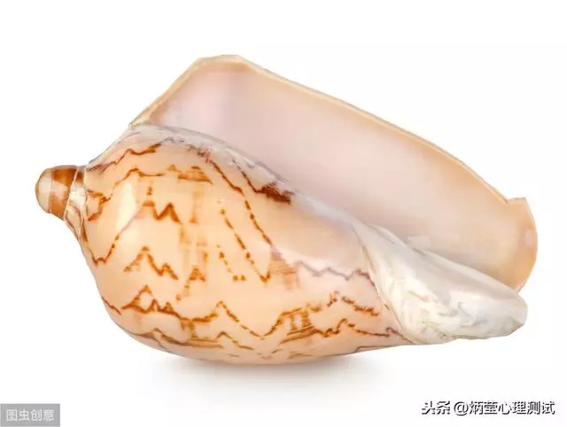心理測試:你會撿起哪個貝殼?測歲月令你變成什麼樣的人
