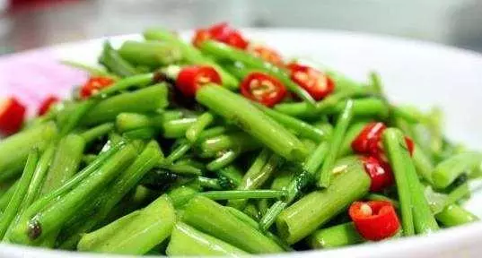 教你9道素菜小炒,清爽開胃,好吃不膩,給肉也不換!
