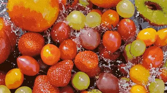 腸道的「綠色清道夫」,維持健康的同時幫你減肥!