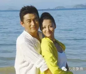 娛樂圈做小三又遭小三教訓的10大女星,沒想到高圓圓也是小三!