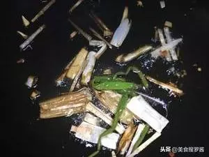 10道5分鐘就能出鍋的快手菜,簡單美味又健康,下班不用點外賣了