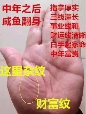手相中一提到雜紋就是不好的?其實手上有此「雜紋」的人,中年可得榮華富貴