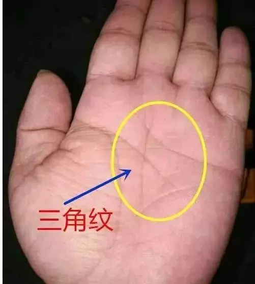 手相中一提到雜紋就是不好的?其實手上有此「雜紋」的人,中年可得榮華富貴