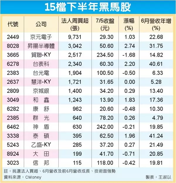 15檔黑馬股 下半年飛奔